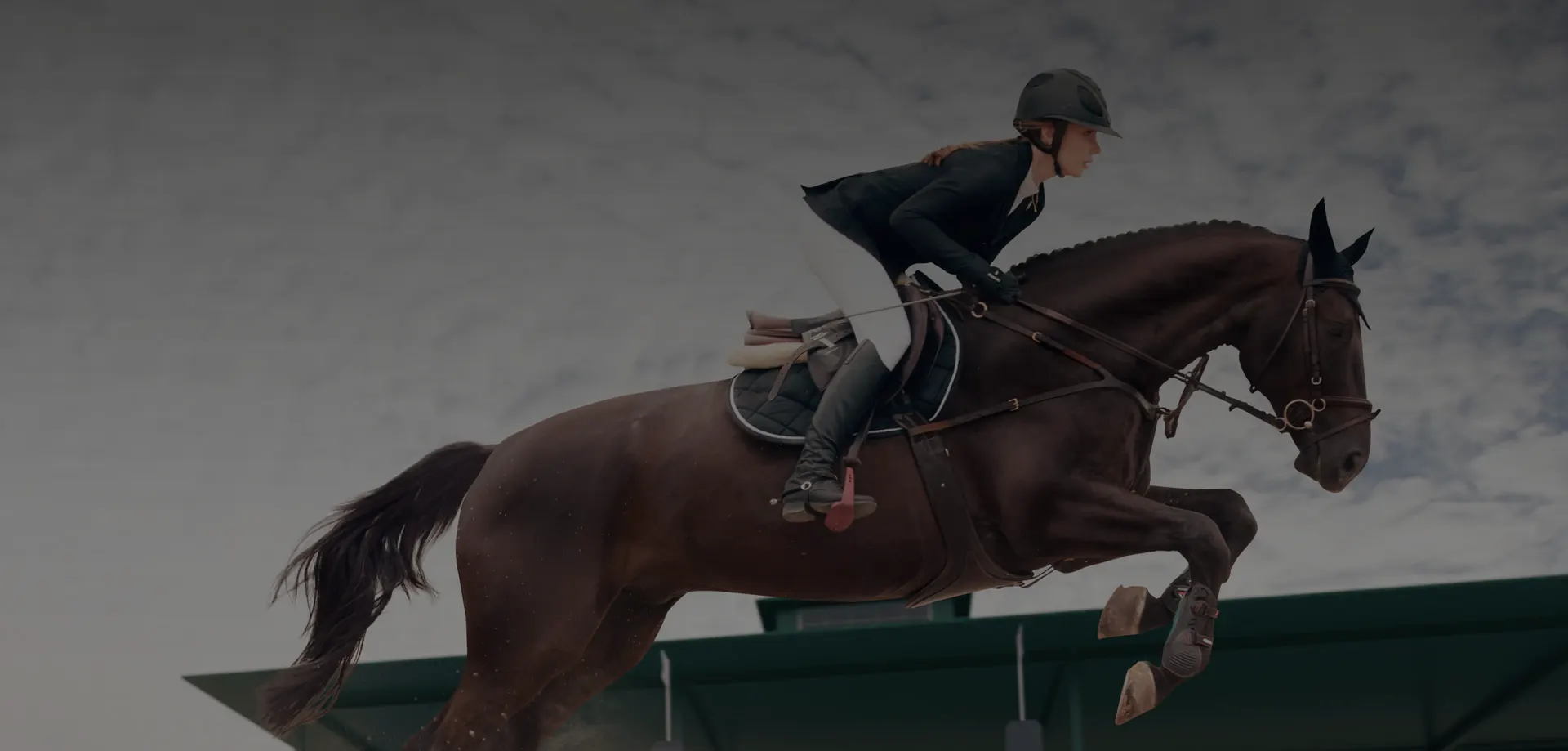 Premium Horse Riding Gloves